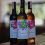 White Wine | Red Wine | Rose Wine | House Wine | Selected | Australia | Croissant & Ko | Koh Tao