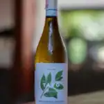 Wine | White Wine | Tavo | Venezia | Fresh | Pinot | Croissant & Ko | Koh Tao